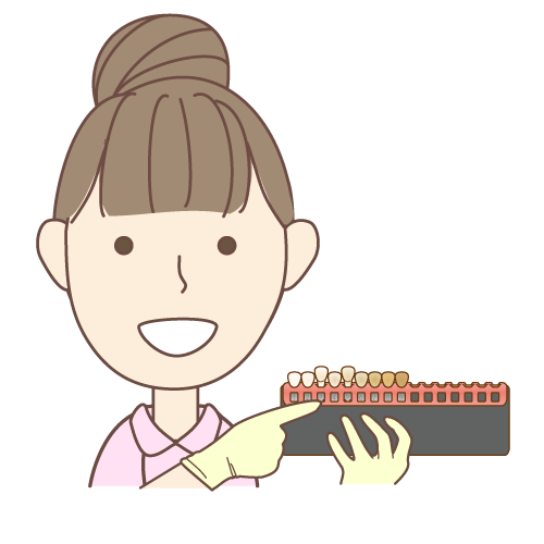 シェードガイドのイラスト